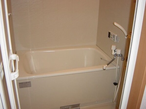 ヒーリングカーサAの物件内観写真